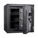 Dominator FX Series Fire/Burglary Safes