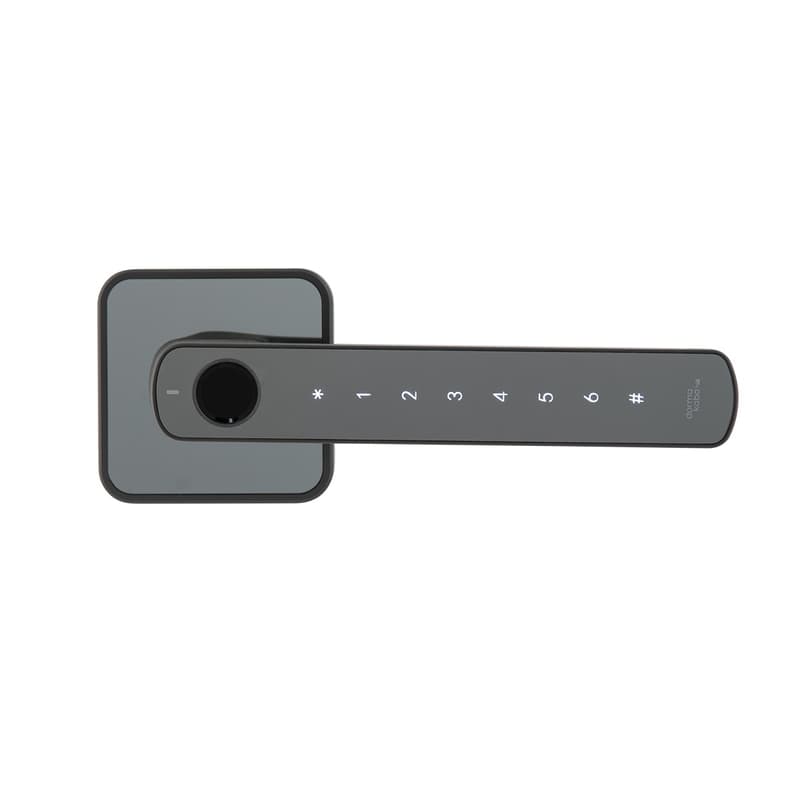 DormaKaba Rosé Biometric Digital Lever