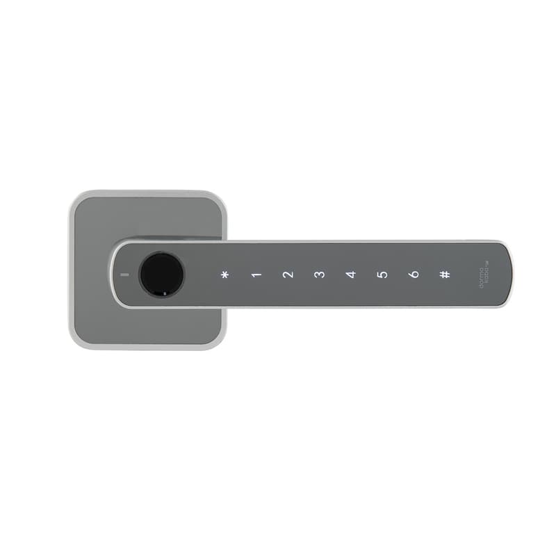 DormaKaba Rosé Biometric Digital Lever